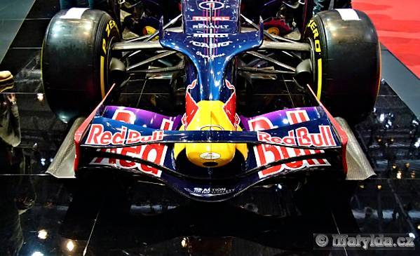 Red Bull team 2014